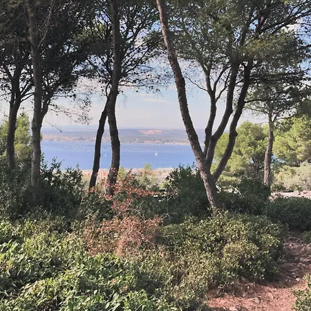 Superbe T4 Vue Et Etang, Terrasse Et Parking